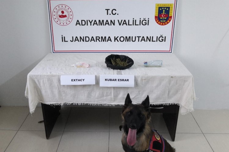 Jandarmanın göz bebeği Yufka'dan zehir tacirlere süpriz -