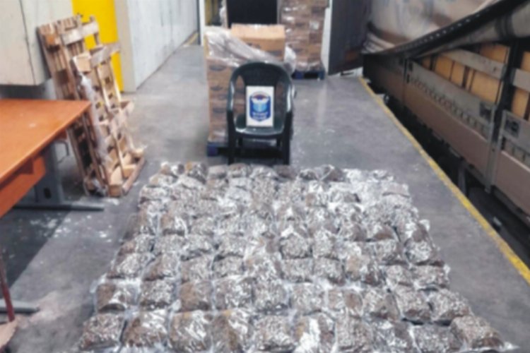 Kapıkule'de bir tırda 50 kg esrar ele geçirildi -