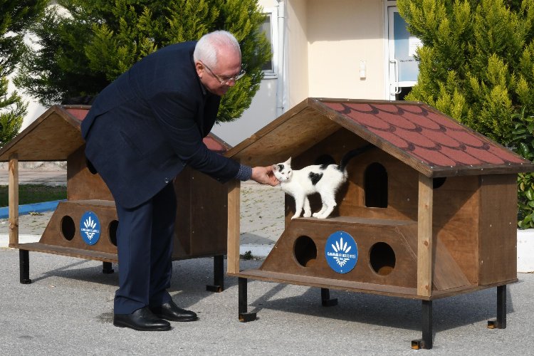 Karabağlar’ın 2023 yılı kedi evleri hazır -