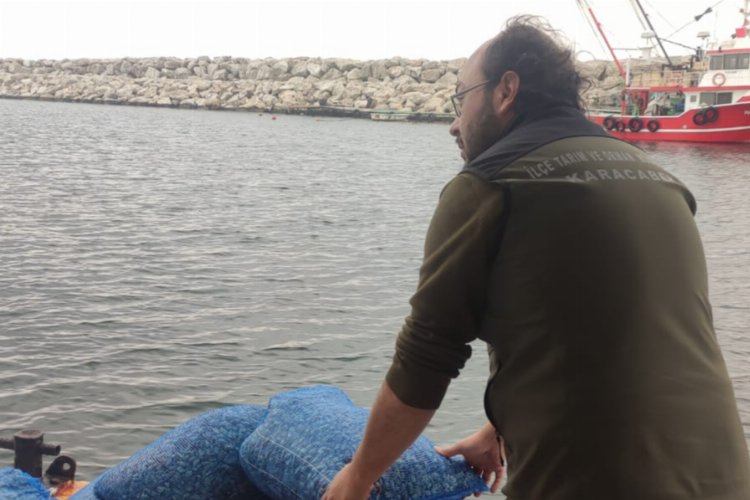 Karacabey sahilinde 40 çuval kaçak midye yakalandı! Denize geri bırakıldı -
