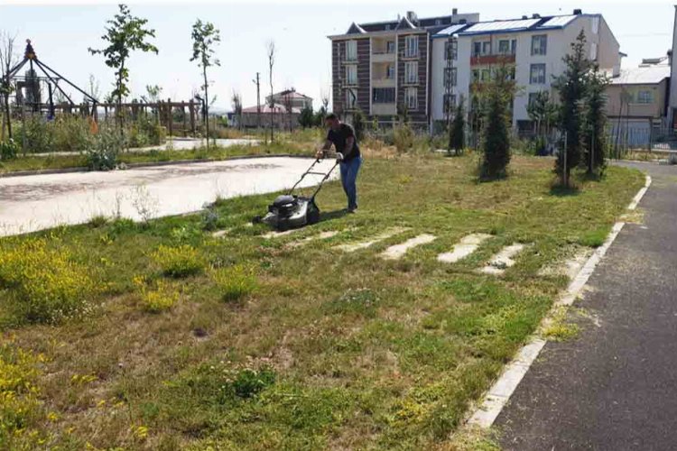 Kars yeşil alanlarıyla konuşulacak -