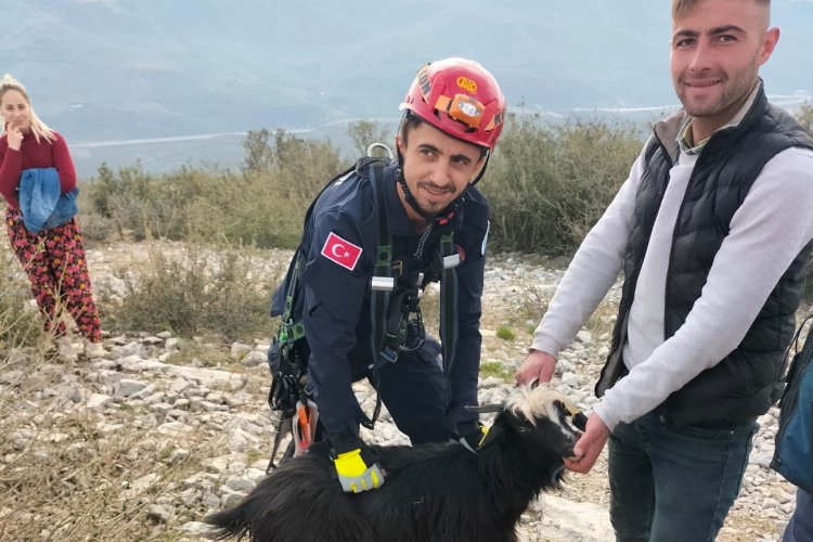 Kayalıklarda mahsur kalan keçiyi itfaiye ekipleri kurtardı -