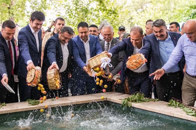 Kayısı Festivali ekonomiye katkı sağlıyor -