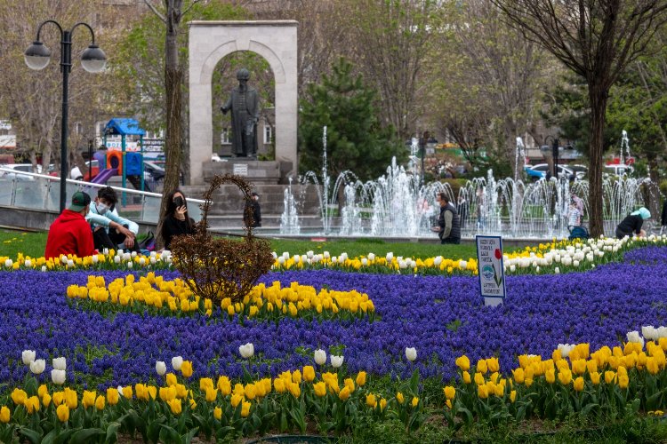 Kayseri Büyükşehir'den yeşil atılım -