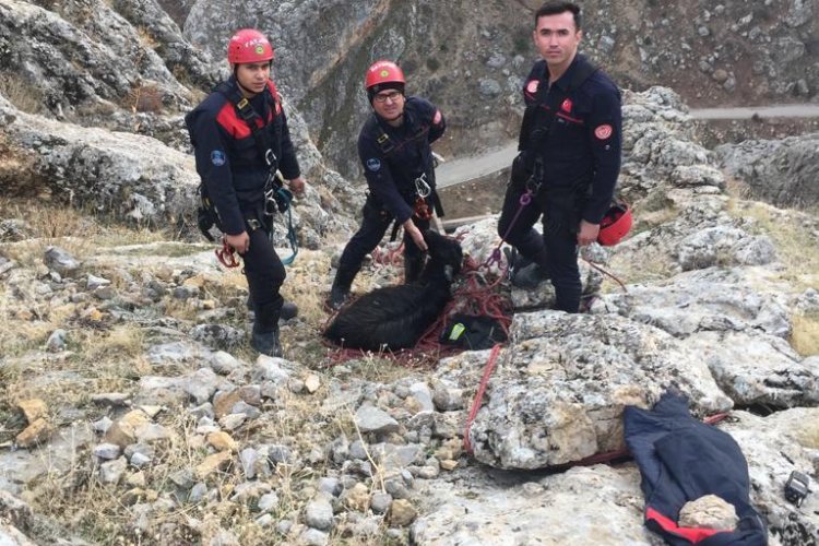 Kayseri Büyükşehir keçiyi 3 saatte kurtardı -