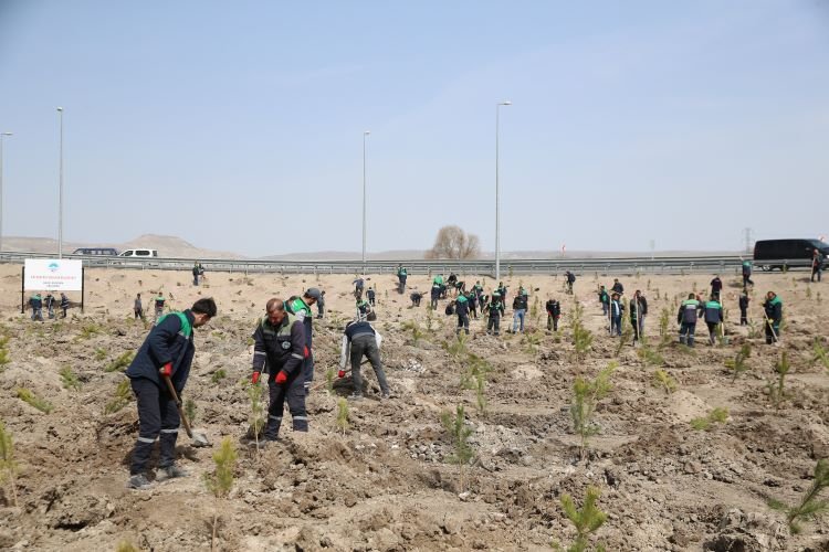 Kayseri Büyükşehir baharın gelmesiyle fidan dikimine başladı -