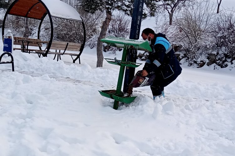 Kayseri Hacılar'da can dostlara ilgi -