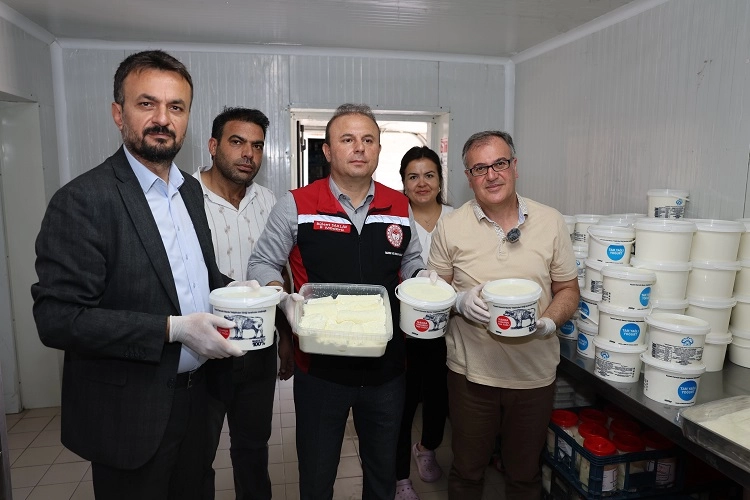 Kayseri Hacılar mozzarella peyniri üretecek -