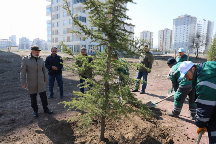 Kayseri Kocasinan ağaç dikim sezonunu açtı -