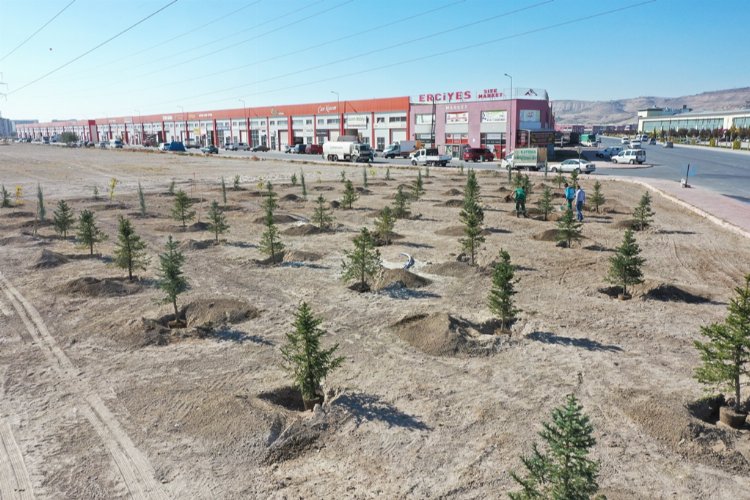Kayseri Kocasinan'da ağaçlandırma sezonu başlıyor -