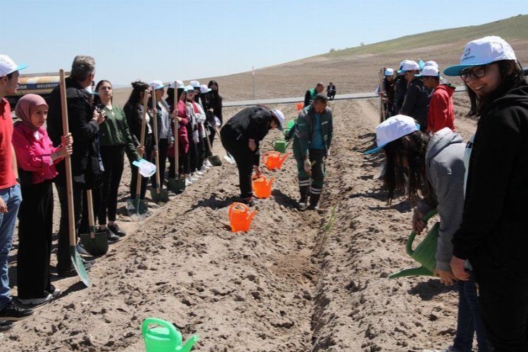Kayseri Kocasinan'da Engelliler Haftası'nda fidan dikildi -