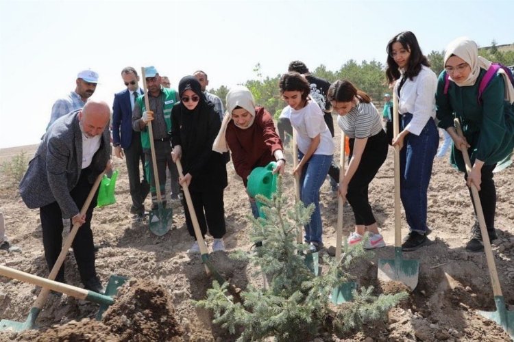 Kayseri Kocasinan'da fidanlar dikildi -