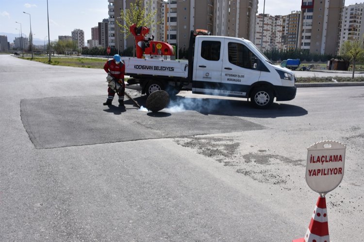 Kayseri Kocasinan'da haşereyle mücadele -