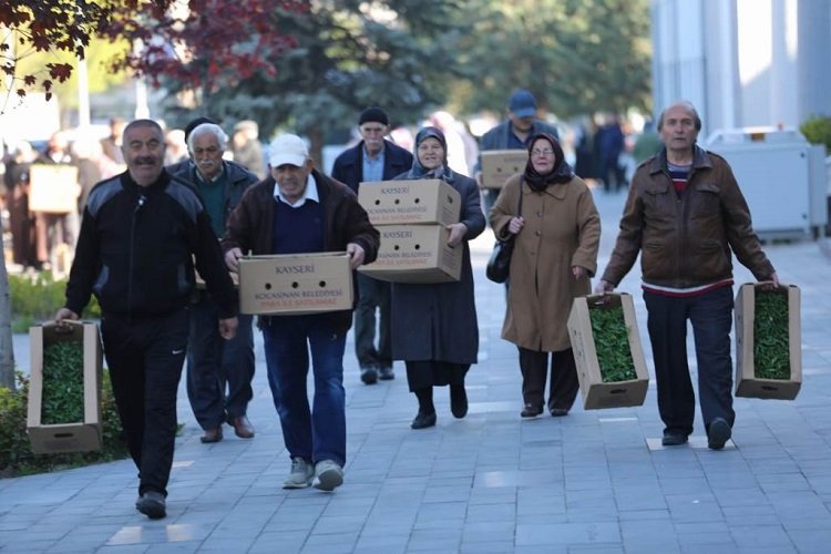 Kayseri Kocasinan'da organik etkinlik -