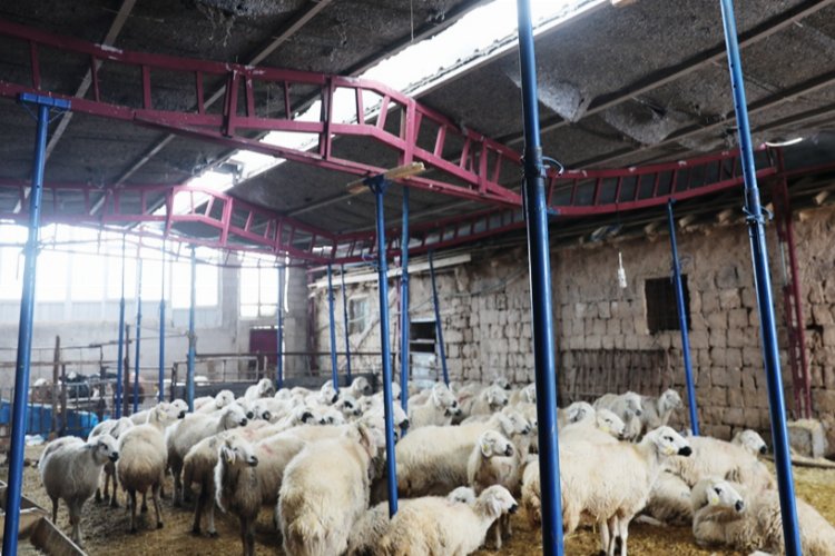 Kayseri Kocasinan'dan hayati müdahale -