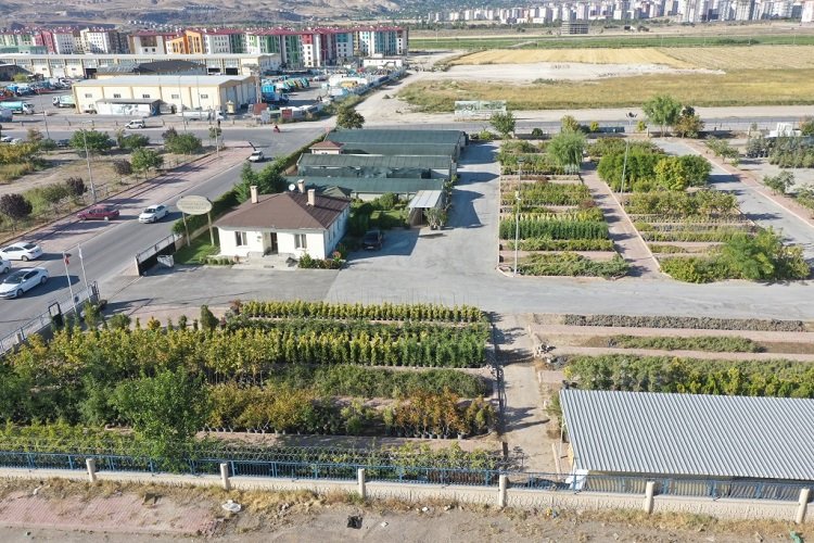 Kayseri Kocasinan en büyük fidanlığı kurdu -