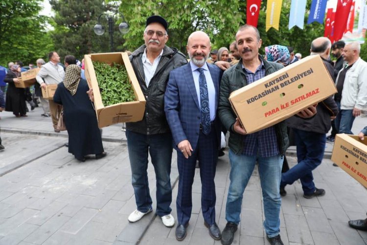 Kayseri Kocasinan'ın domates efsanesi geri döndü -