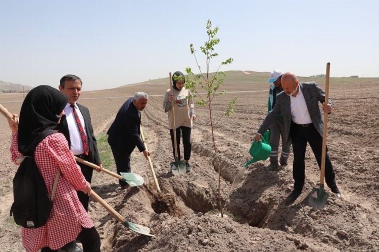 Kayseri Kocasinan 'Vuslat Ormanı' ile nefes alacak -