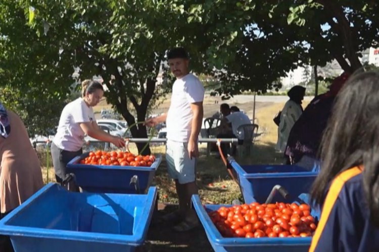 Kayseri Melikgazi'de Salça Kaynatma Günleri başladı -