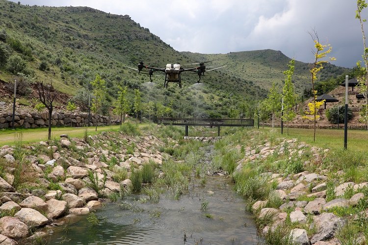 Kayseri Talas'ta droneli tarım ilaçlaması -