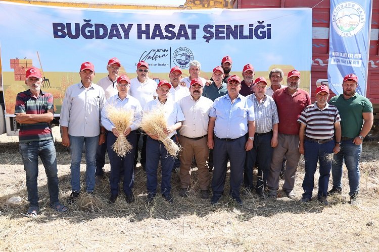 Kayseri Talas'ta hasat vakti -