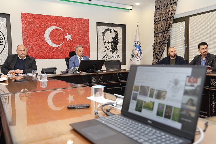 Kayseri Talas'ta Karbon Yutak Alanı olacak -