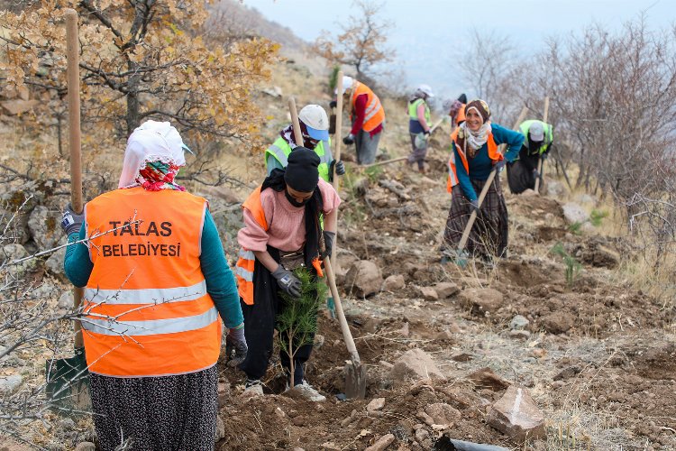 Kayseri Talas'tan ağaç seferberliği