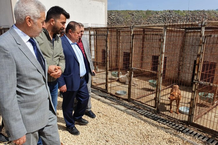 Kilis Belediye Başkanı Ramazan: “Hayvanlar rabbim tarafından bizlere emanet edilmiştir” -