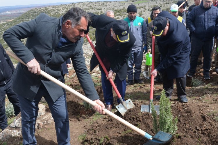 Kilis'te Bal Ormanı'na 2022 yılında 15 bin adet ballı bitki dikilecek -