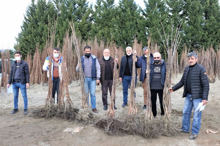 Kocaeli Büyükşehir’in, yüzde 50 hibeli fidan dağıtımı cuma günü sona erecek -