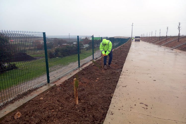 Kocaeli'de Demirciler'de mezarlık ağaçlandırıldı -