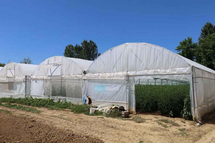 Kocaeli'de modern seralar verimi arttırdı -