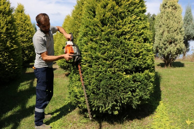 Kocaeli'de park ve bahçelerde sonbahar budaması -