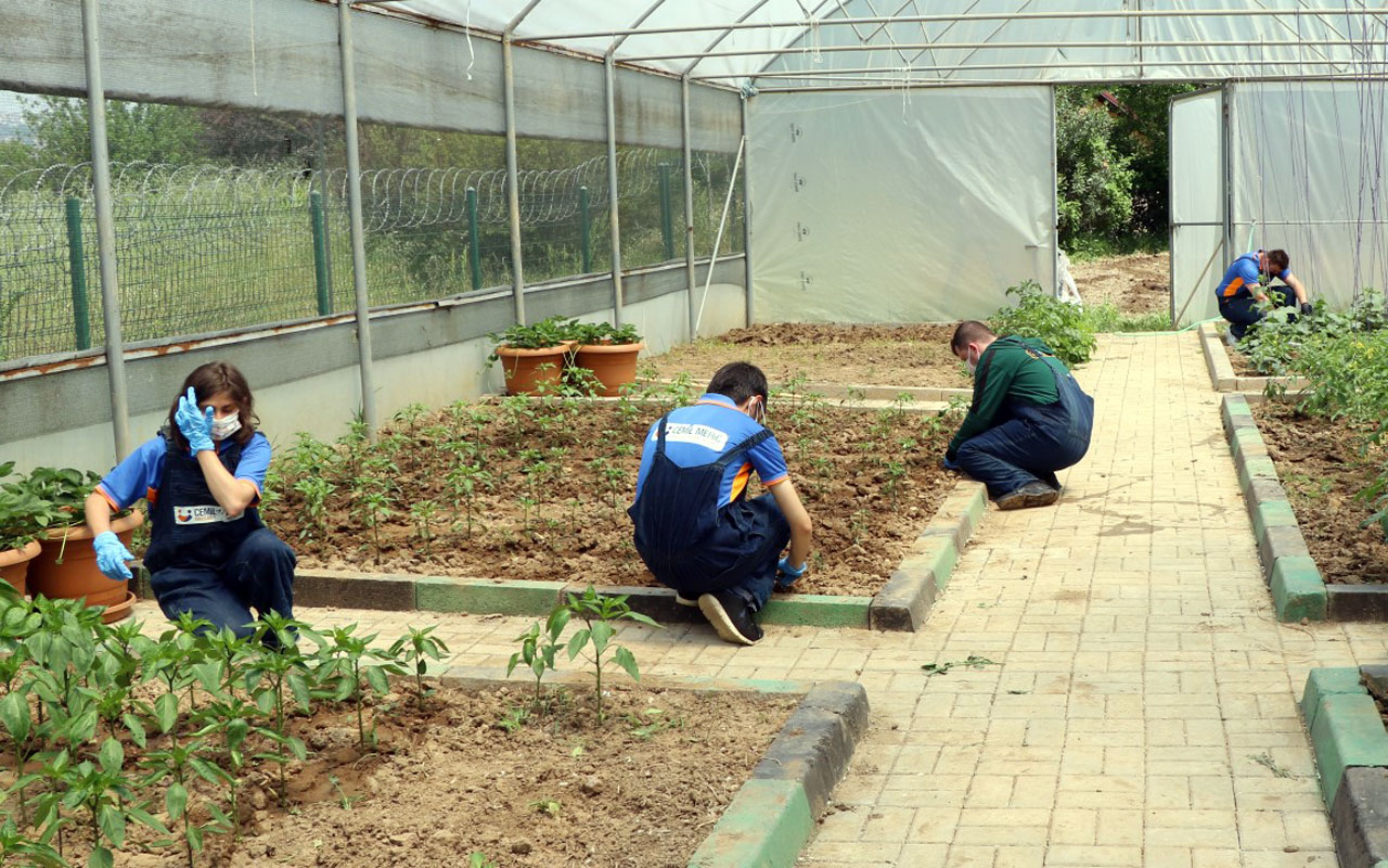 Kocaeli’de tarımsal rehabilitasyon