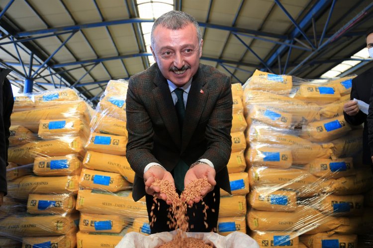 Kocaeli'de tohum desteği başvuruları sona erdi -