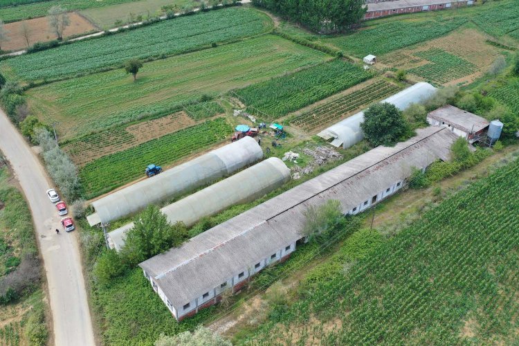 Kocaeli'de üreticilere yüzde 50 hibeli sera desteği -