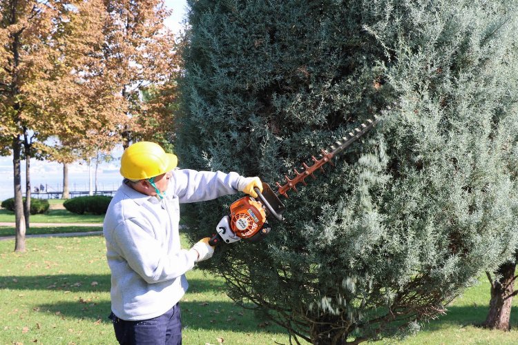 Kocaeli'den ağaçlara estetik dokunuş -