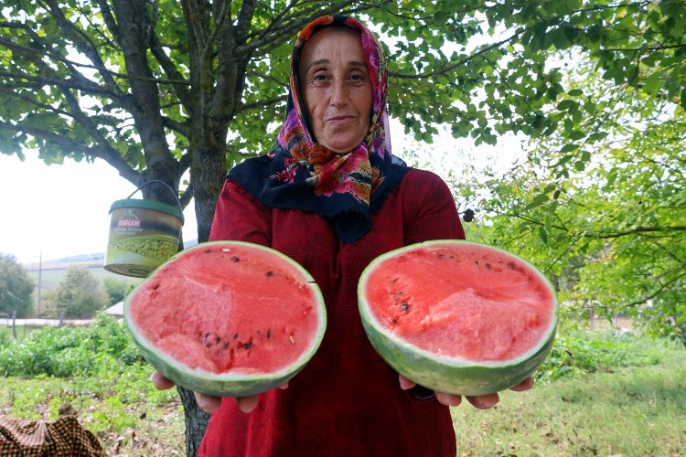 Kocaeli'den üreticilere destekler sürüyor -