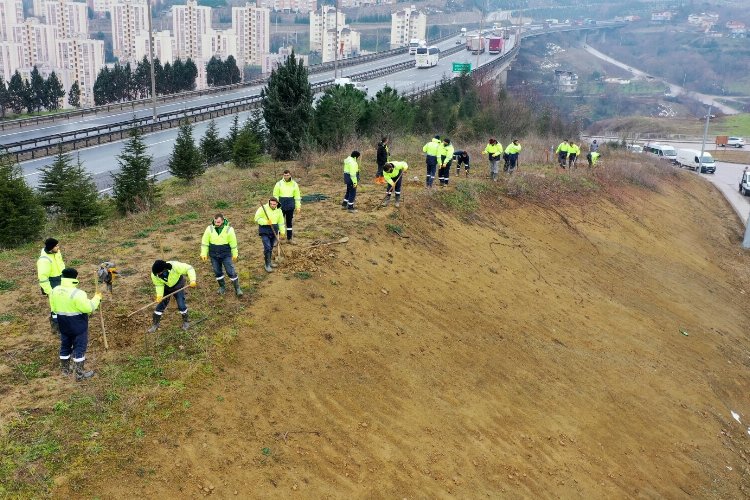Kocaeli Şehir Hastanesi'nde yolunda çevre düzenlemesi -