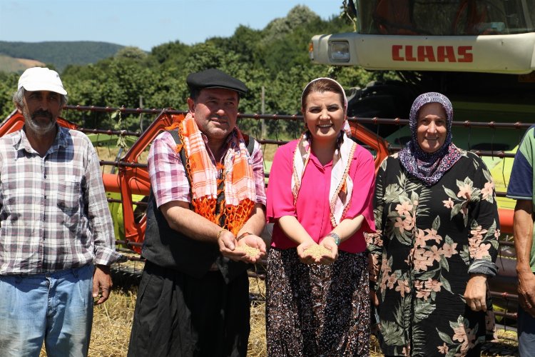 Kocaeli İzmit Belediyesi'nin desteği, çiftçinin emeğiyle berekete dönüştü -