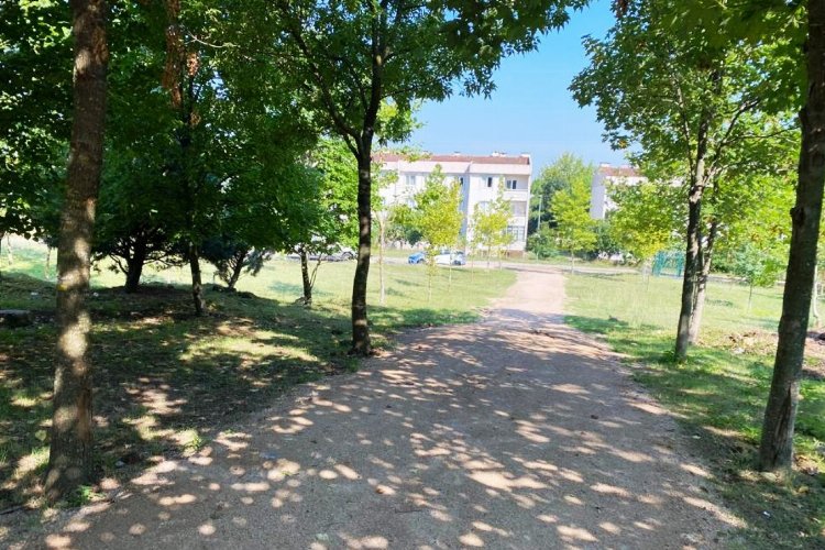 Kocaeli Kartepe'de Ataşehir’e mesire alanı -