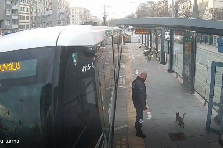 Kocaeli'nde güvenlik personelinin dikkati kediyi kurtardı -
