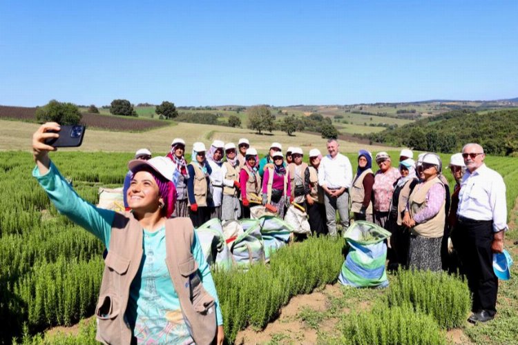 Kocaeli'nde tıbbı aromatik merkez -