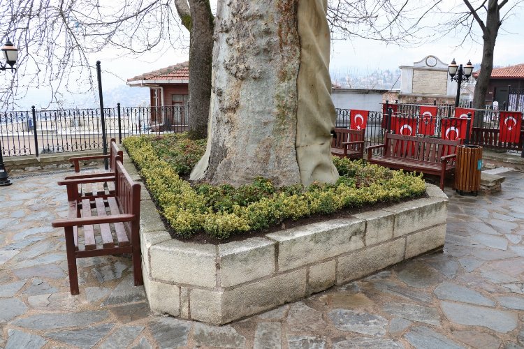Kocaeli tarihi Orhan Camii çiçek açtı -