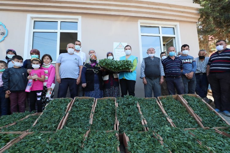 Kocaeli İzmit Belediyesi bu yıl da çiftçiye fide desteği verecek -