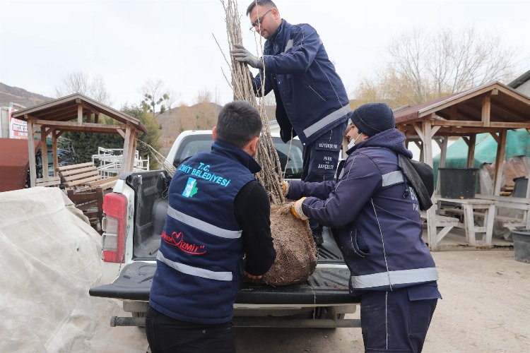 Kocaeli İzmit Belediyesi, ipekböcekçiliği projesini genişletiyor -