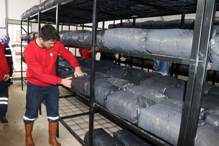Kocaeli İzmit Belediyesi, istiridye mantarında ikinci seri üretime başladı -