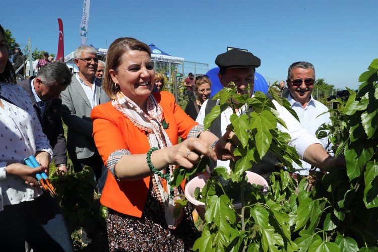 Kocaeli İzmit Belediyesi İpek Böceği Besleme Evi’ni hizmete açtı -