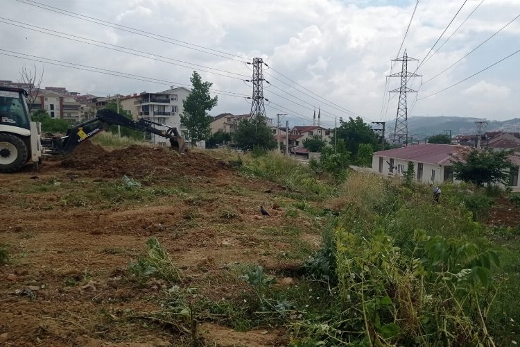 Kocaeli İzmit'te atık yağlar fidana dönüşecek -