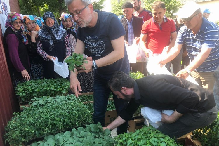 Kocaeli İzmit'te yüzde 100 hibeli fide -